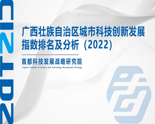 裸美女被操视频网站【成果发布】广西壮族自治区城市科技创新发展指数排名及分析（2022）